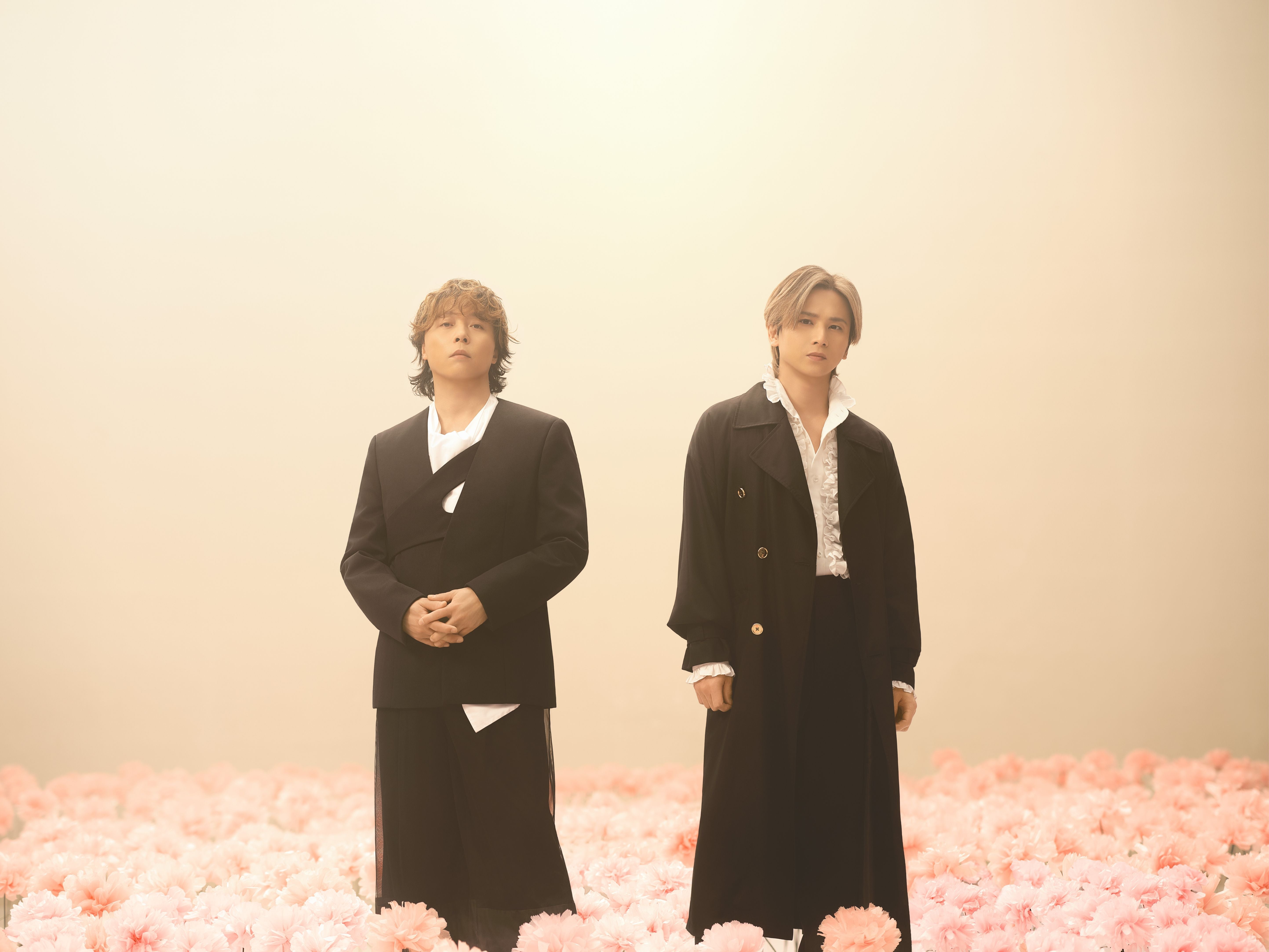 DOMOTO
