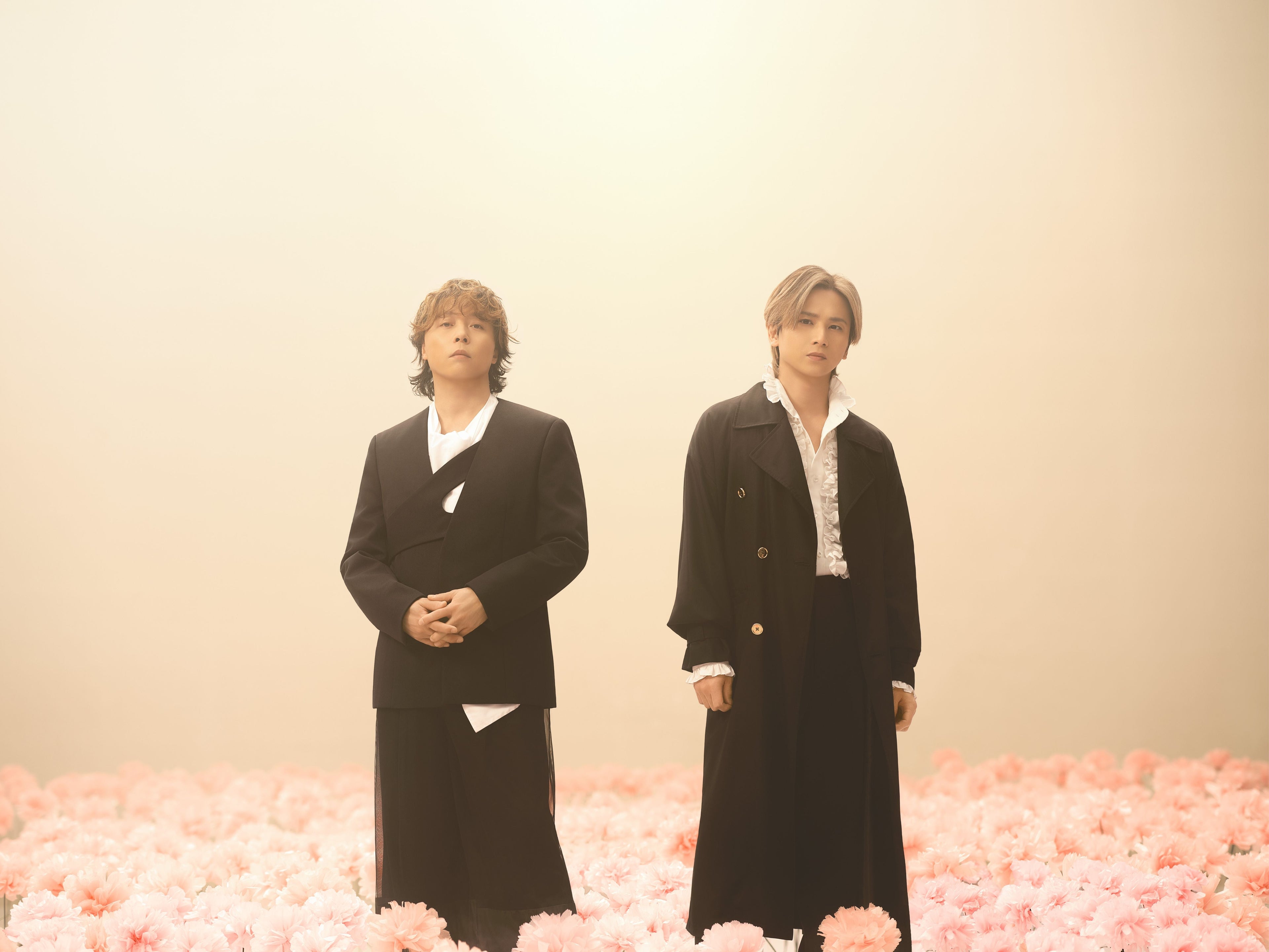 DOMOTO
