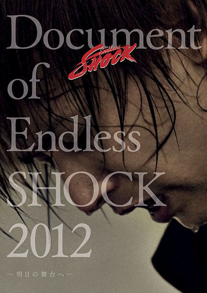 Document of Endless SHOCK 2012　-明日の舞台へ- 通常仕様 [DVD]