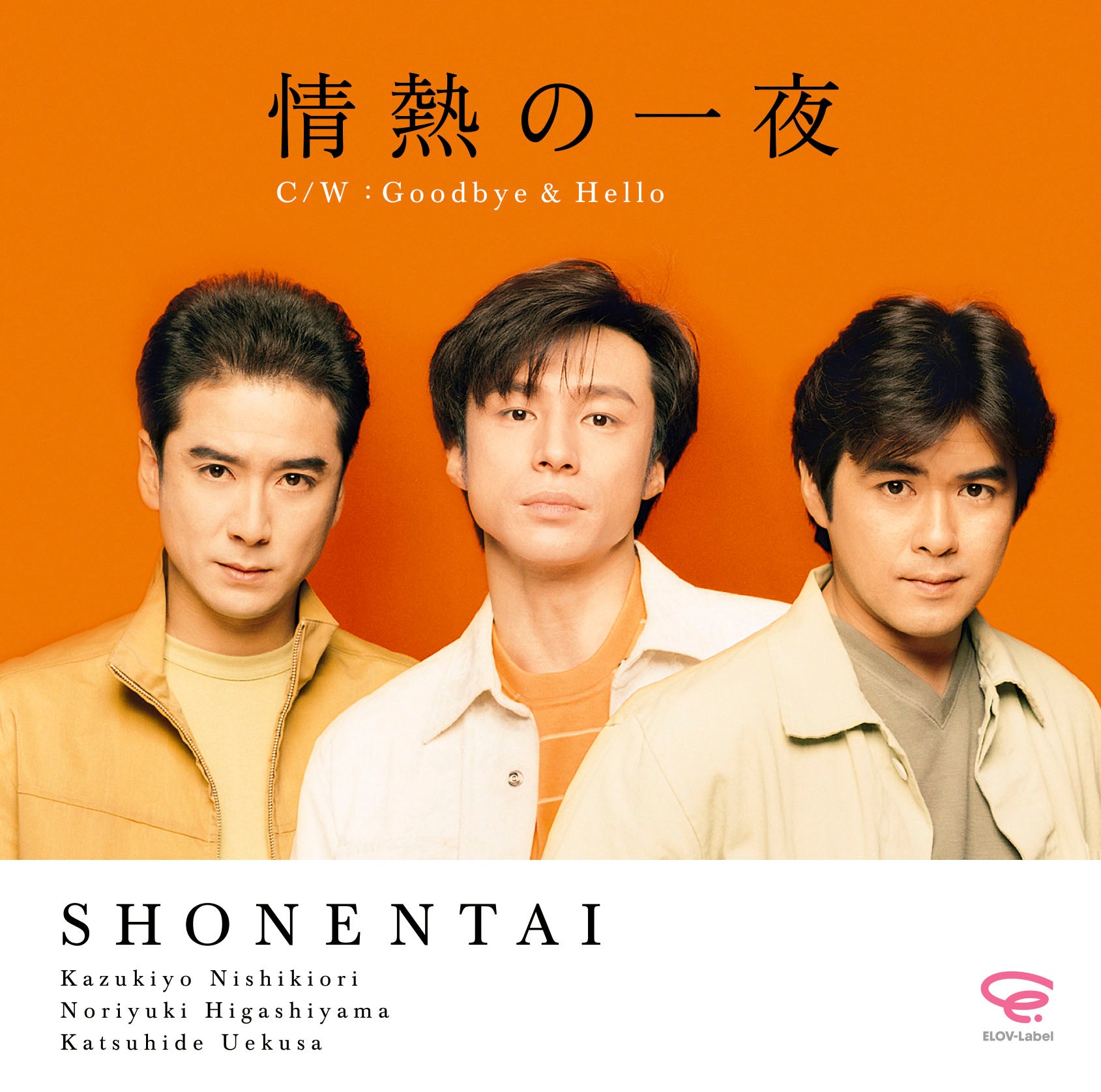 情熱の一夜 通常盤 [CD]